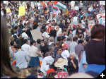 [Crowd 4]